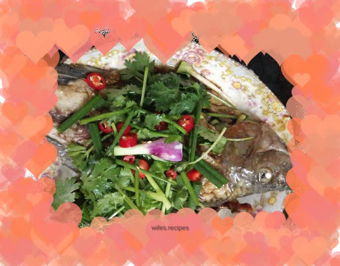 Scallion and Ginger Luo Feiyu🐠