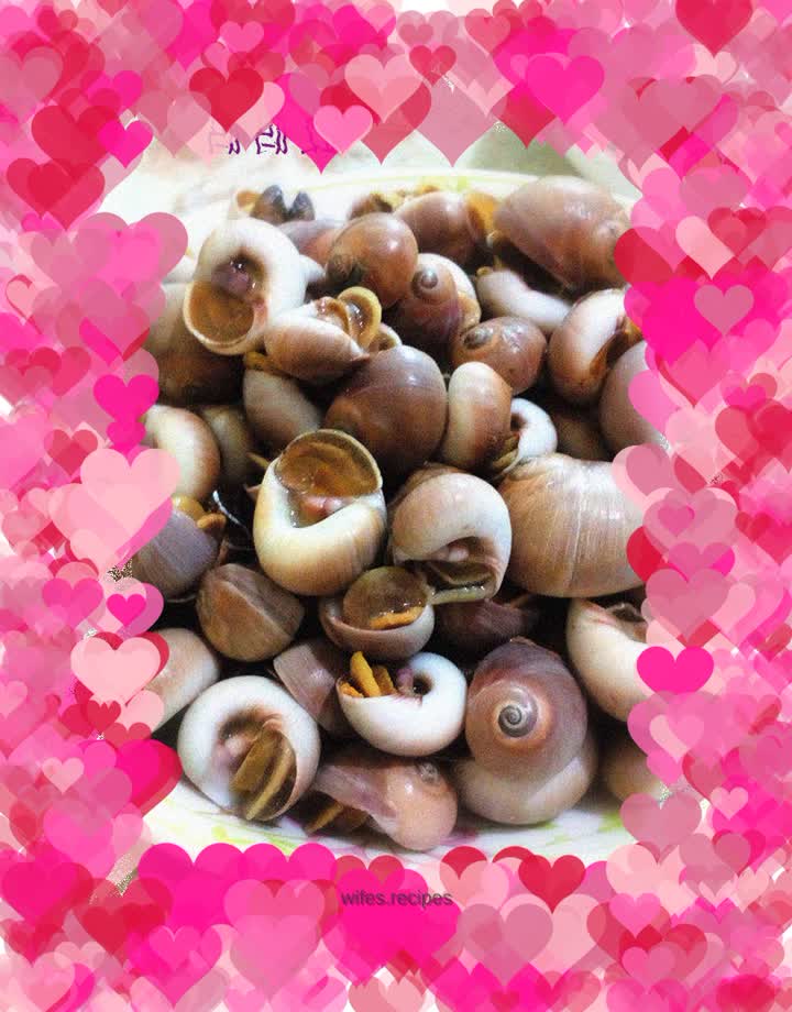 Original small conch