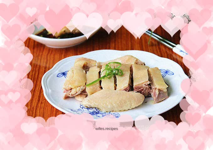 Shanghai White Chicken