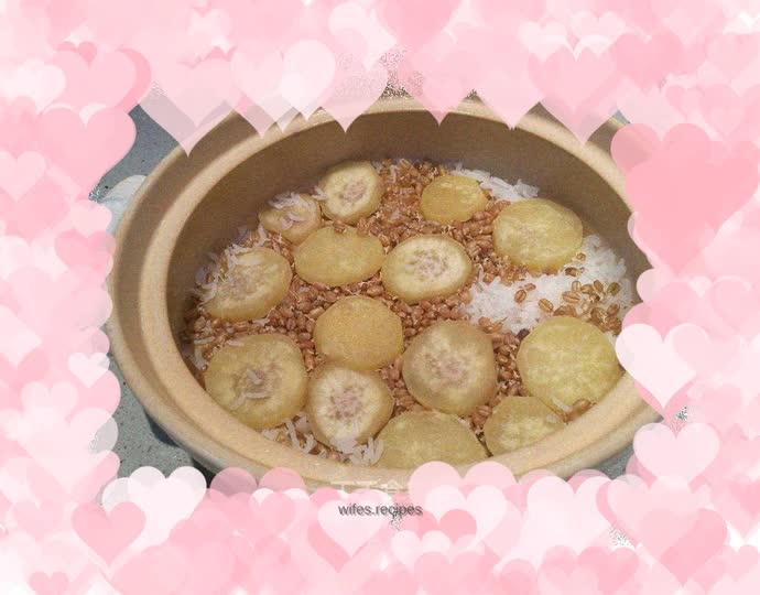 Pistachio Sister Wheat Germ Claypot Rice