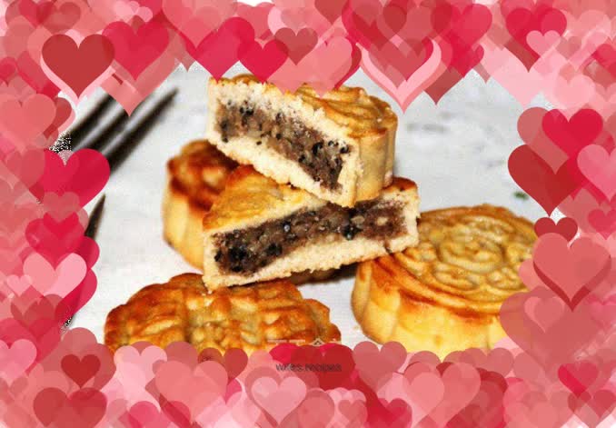 Cantonese style five-nut mooncake