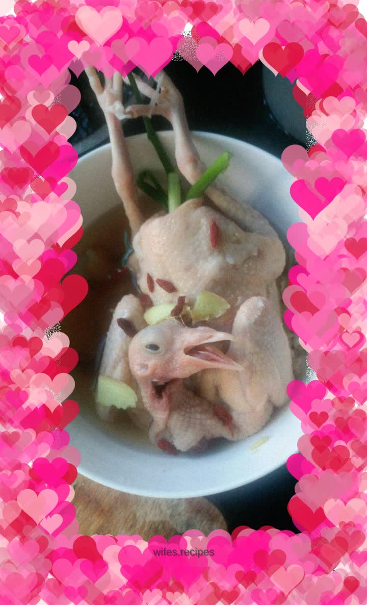 Gastrodia stewed pigeon