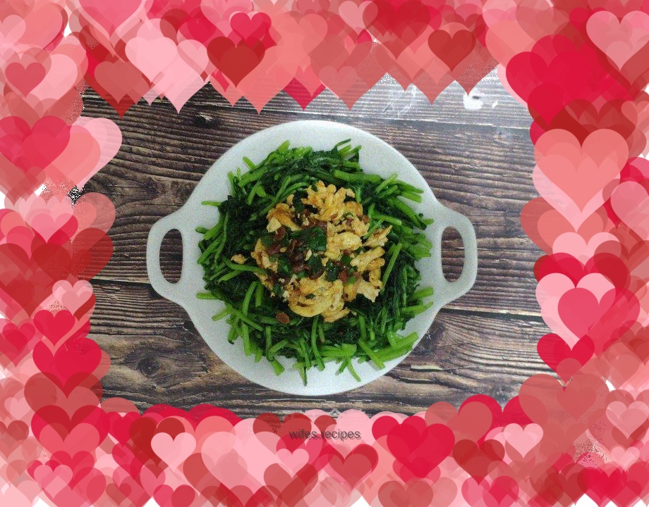 Chrysanthemum chrysanthemum eggs