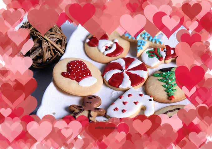 Christmas homemade cookies-Depp Baking Lab