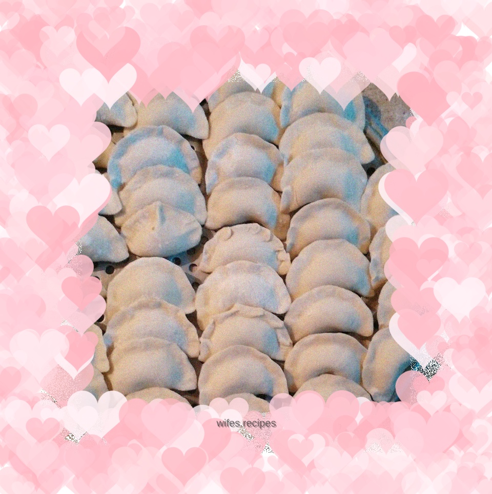 Pork and green onion dumplings