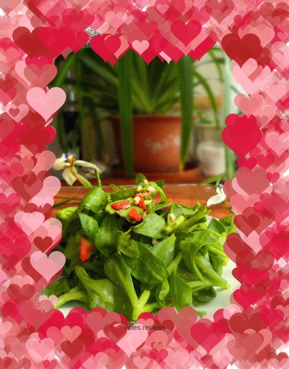 Refreshing andrographis paniculata