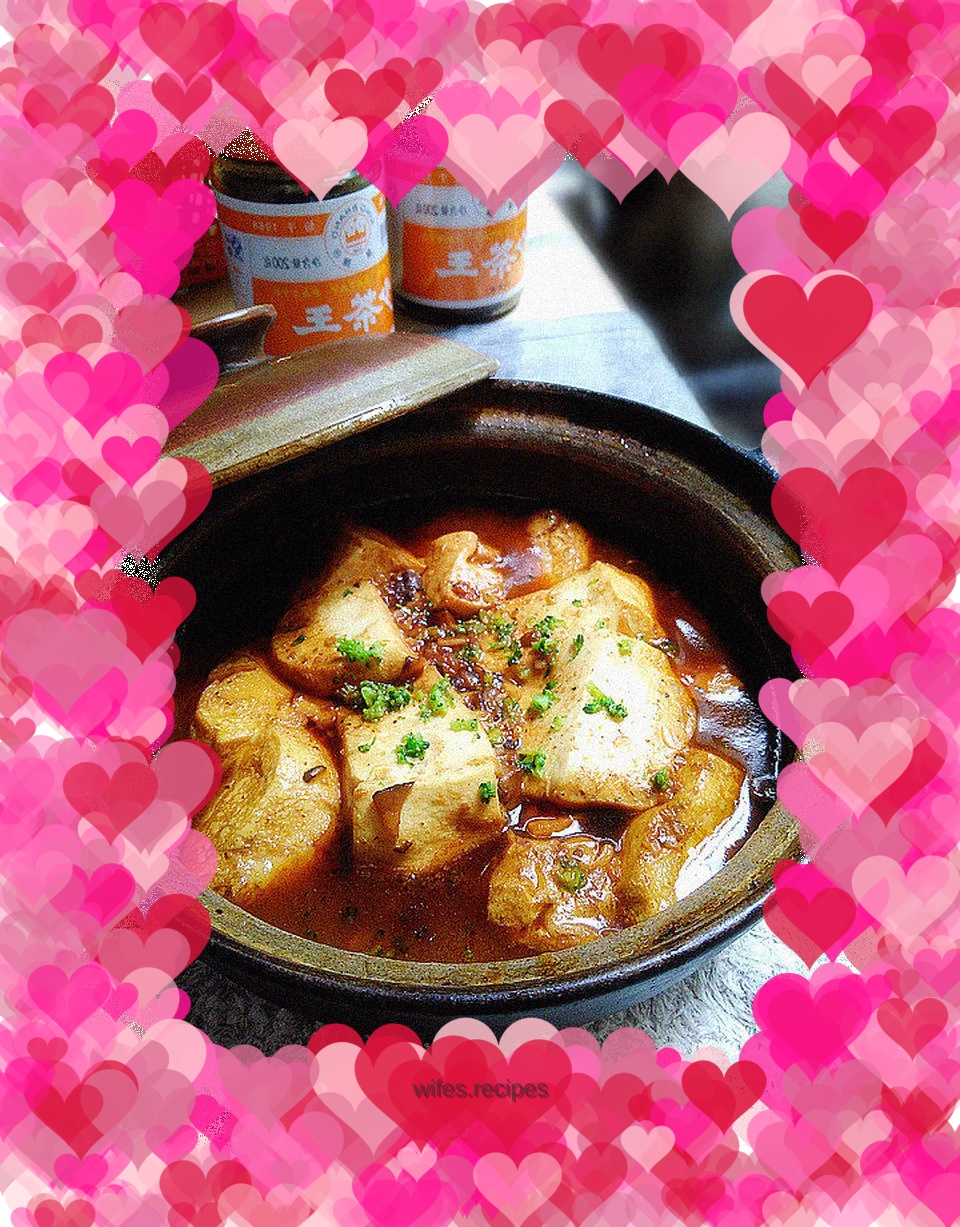【Shacha Food】Soy Sauce Stewed Tofu