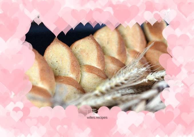 Olympic Olive Branch Bread—Depp Baking Laboratory