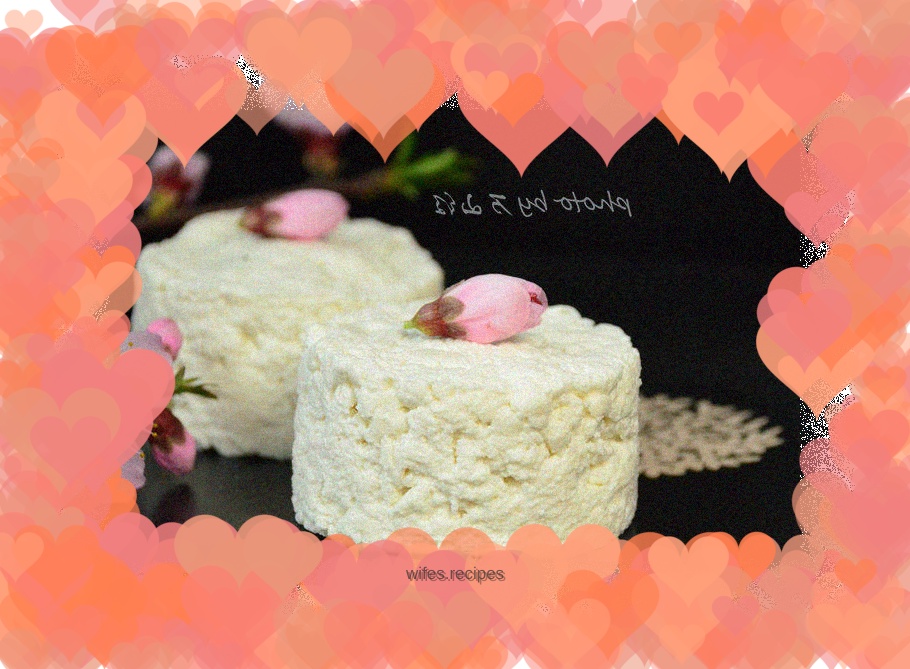 Homemade Goat Cheese