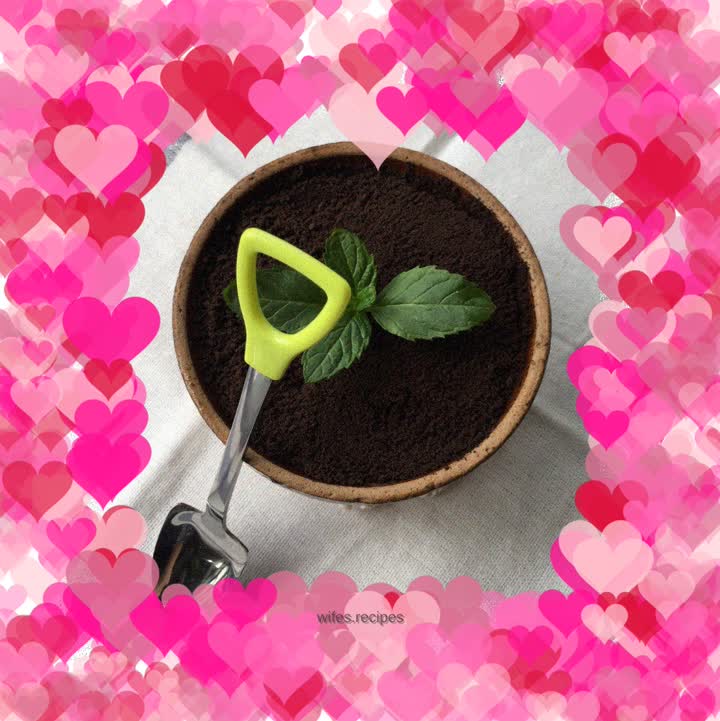 Homemade yogurt potted plants