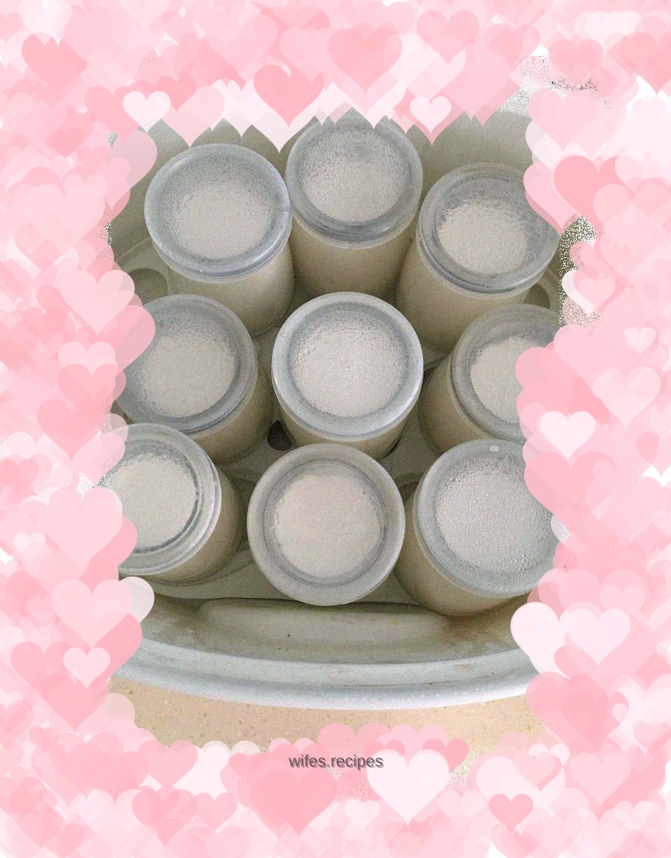 Electric stew pot version of yogurt