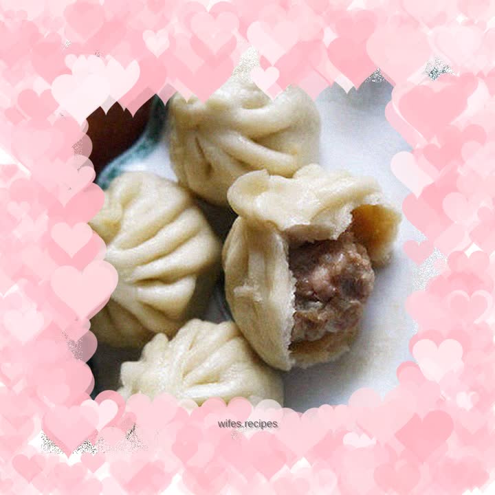 Detailed illustration of soup dumplings with pork and green onion sauce