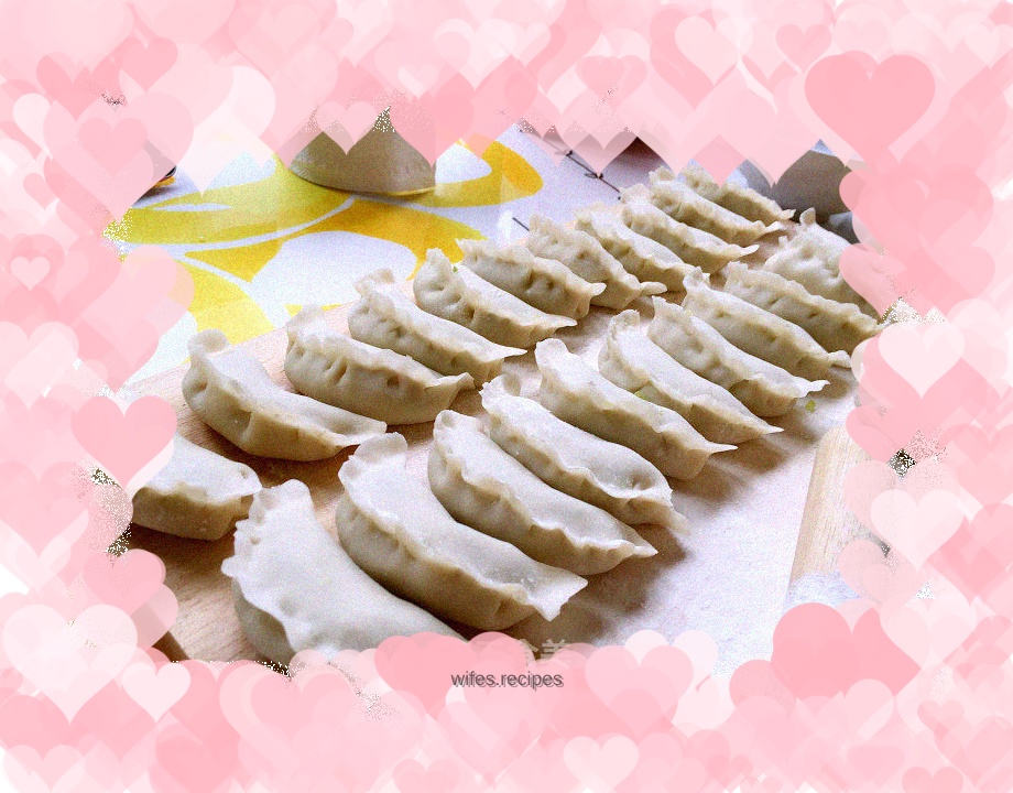 Japanese fried dumplings