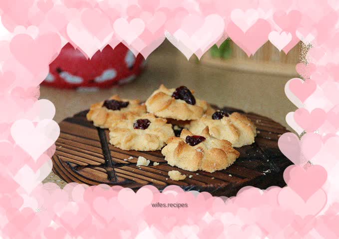 Shredded Coconut Cranberry Cookies