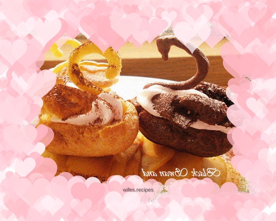 Family secret---BLACK SWAN AND WHITE SWAN