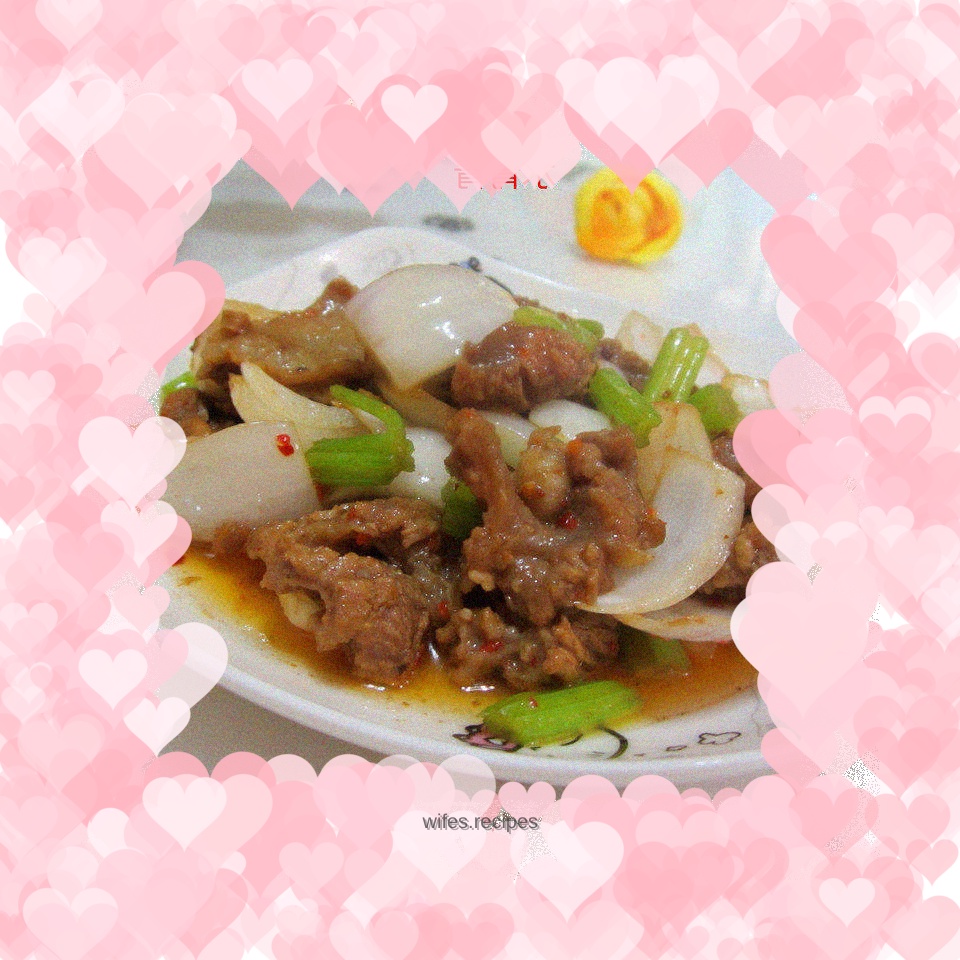 Grilled Beef Brisket with Onions