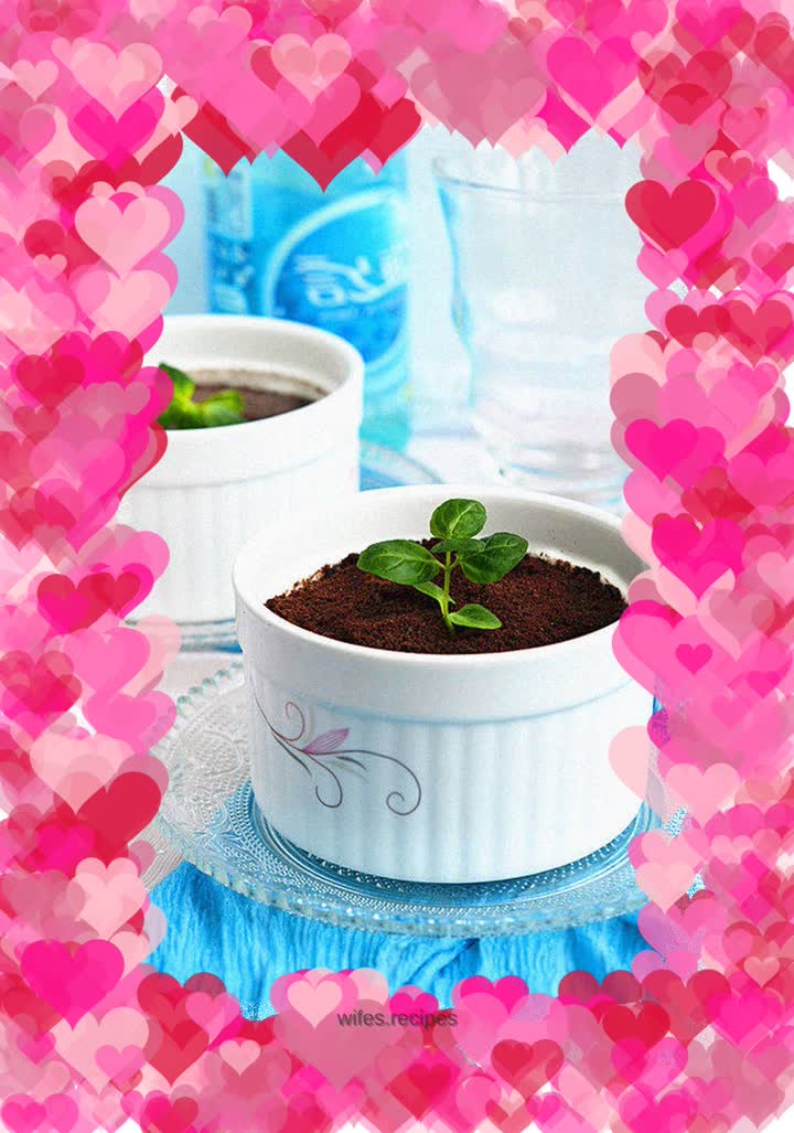 Fresh peach yogurt potted plant