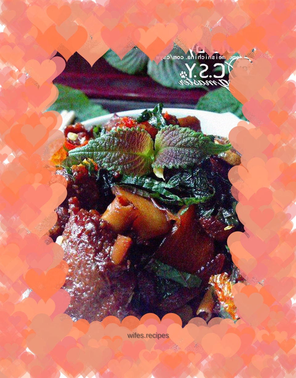 【Homestyle meat dishes】Braised duck with perilla