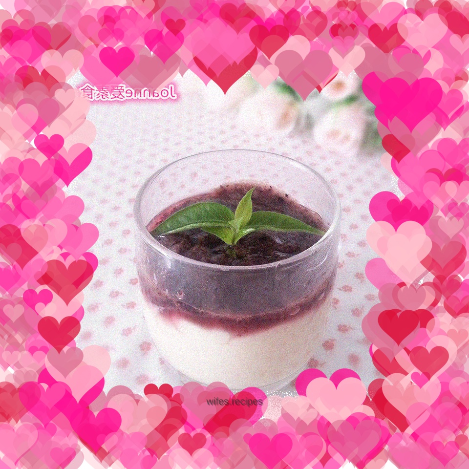 Coconut Pudding Pudding