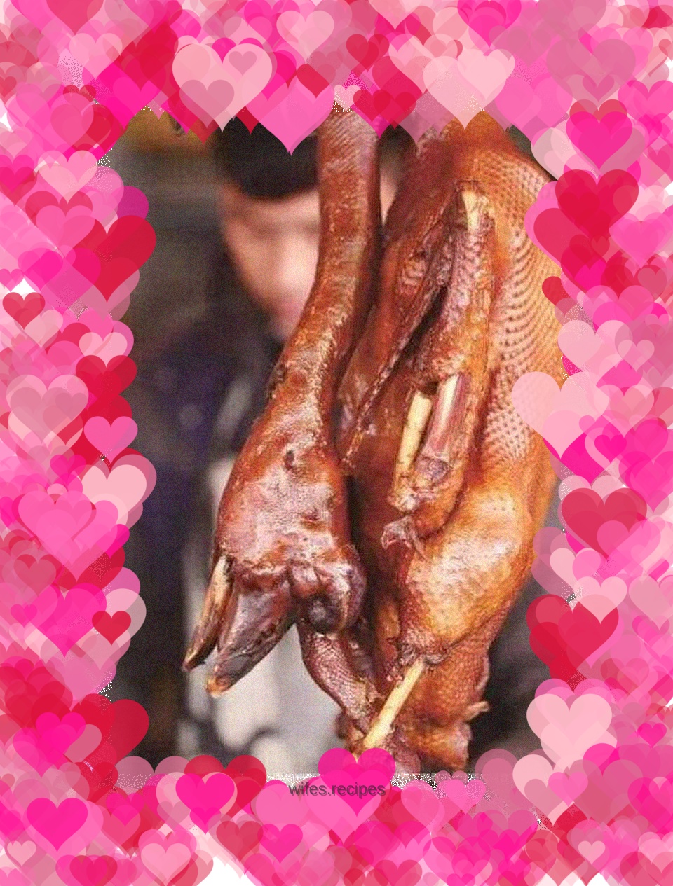 Chaoshan Braised Goose