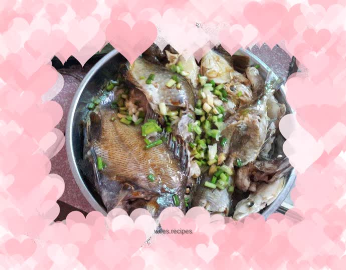 Miscellaneous marine fish