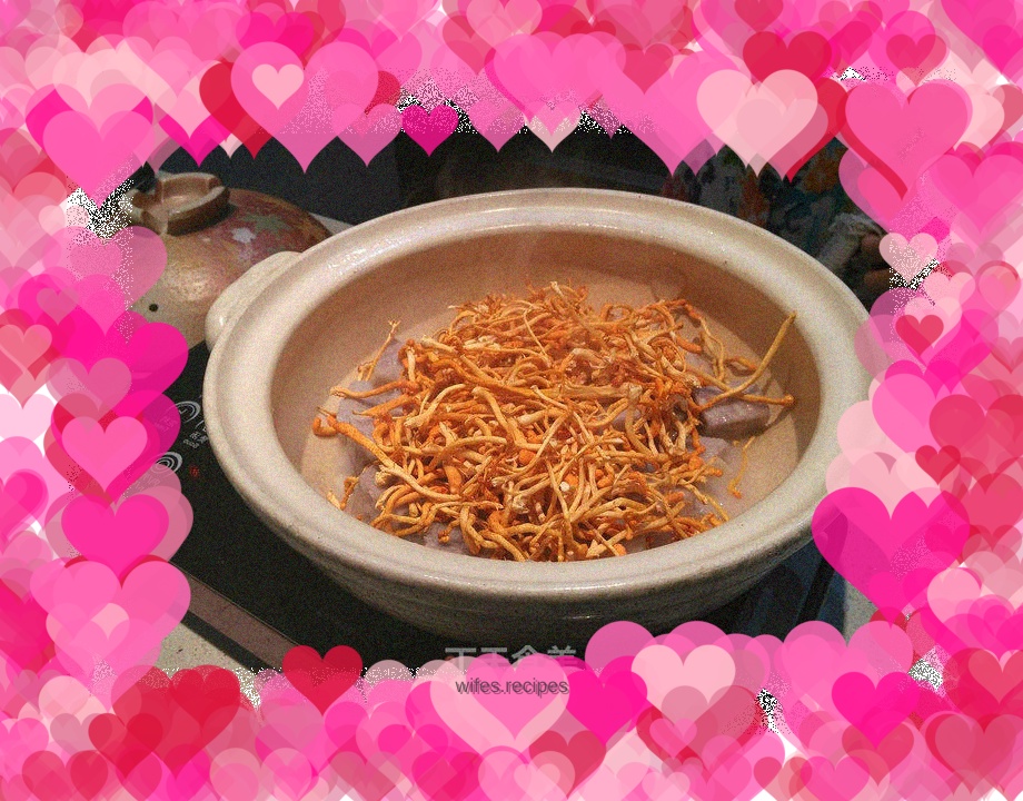 Pistachio Sister Coconut Milk Cordyceps Flower Pot