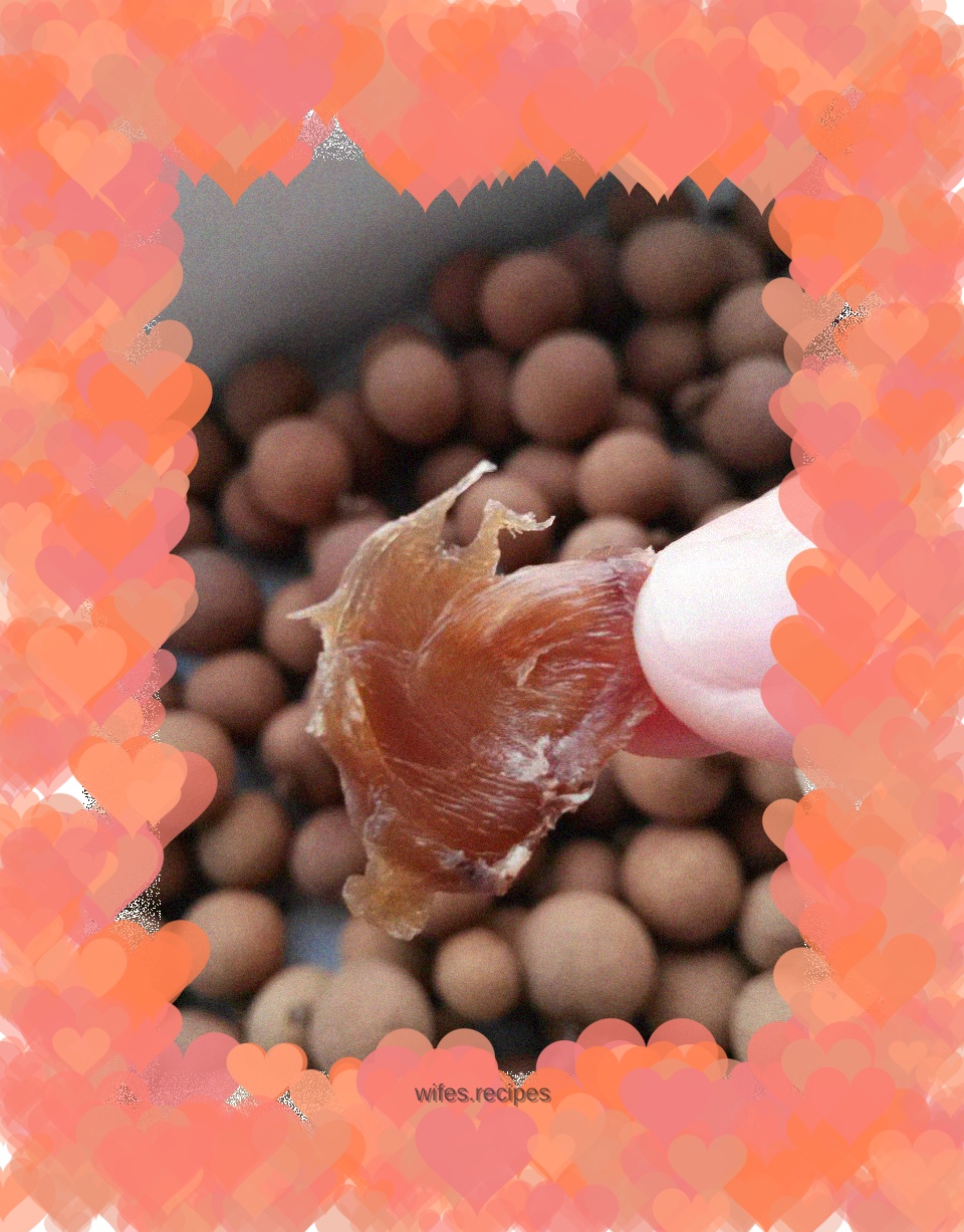 Dried longan