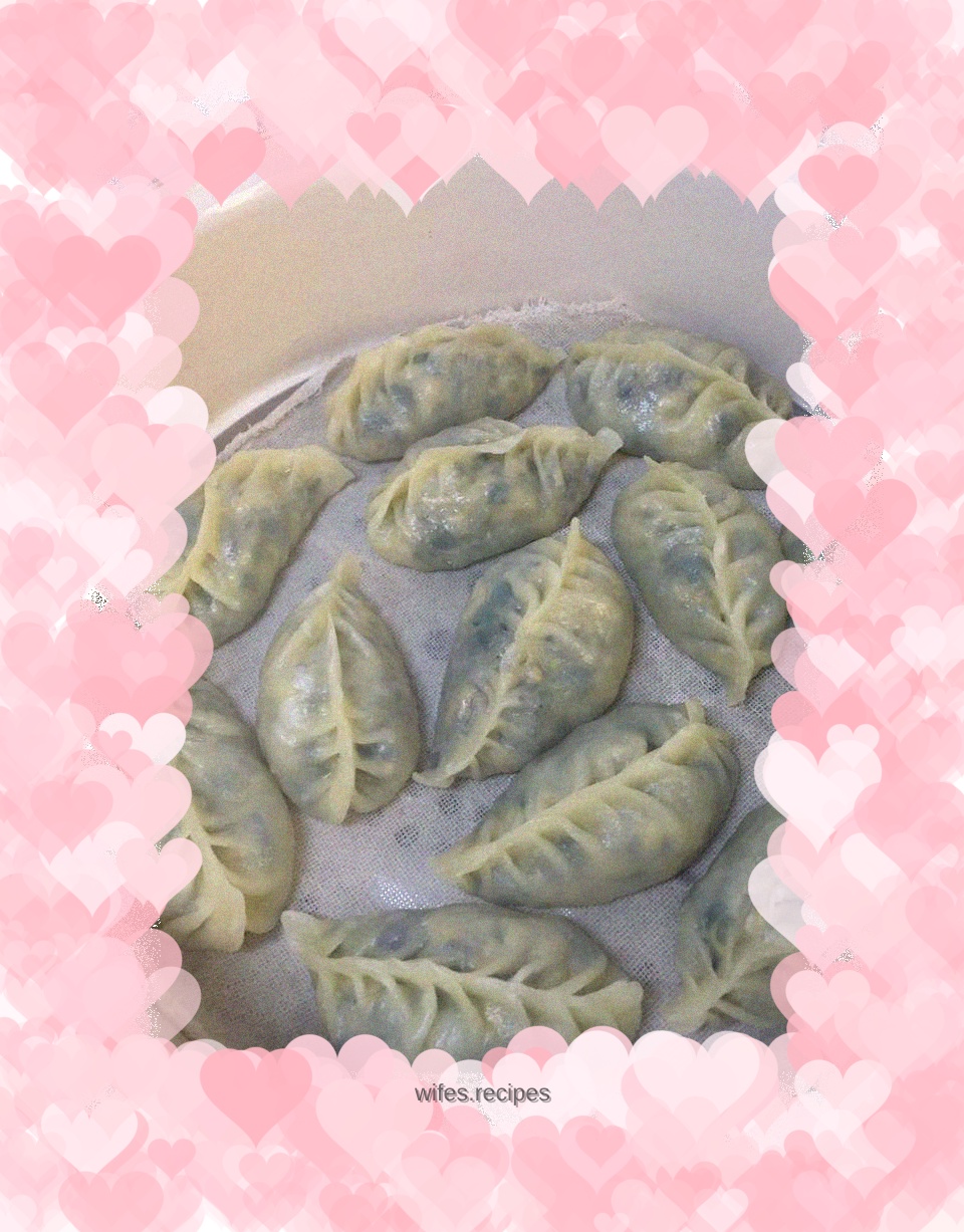 Hot Noodles and Steamed Dumplings