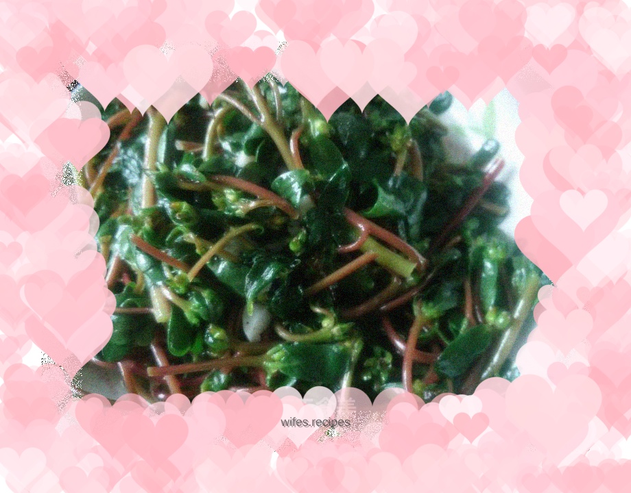 Garlic Purslane