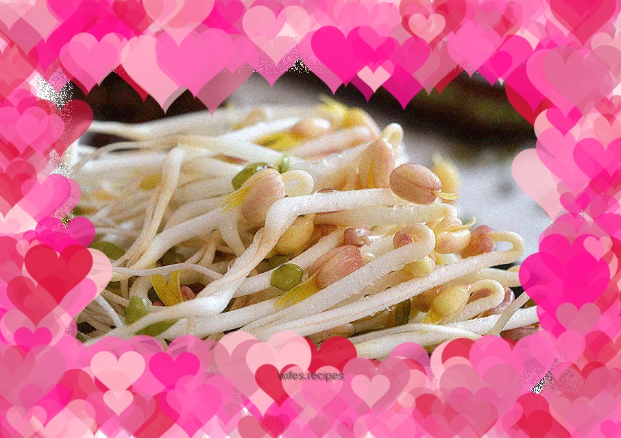 Homemade mung bean sprouts