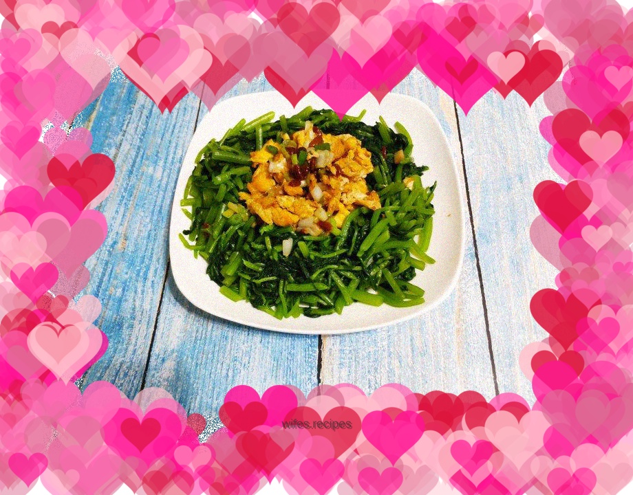 Chrysanthemum chrysanthemum eggs