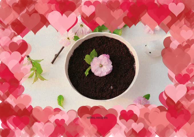 Oreo Yogurt Potted Plant