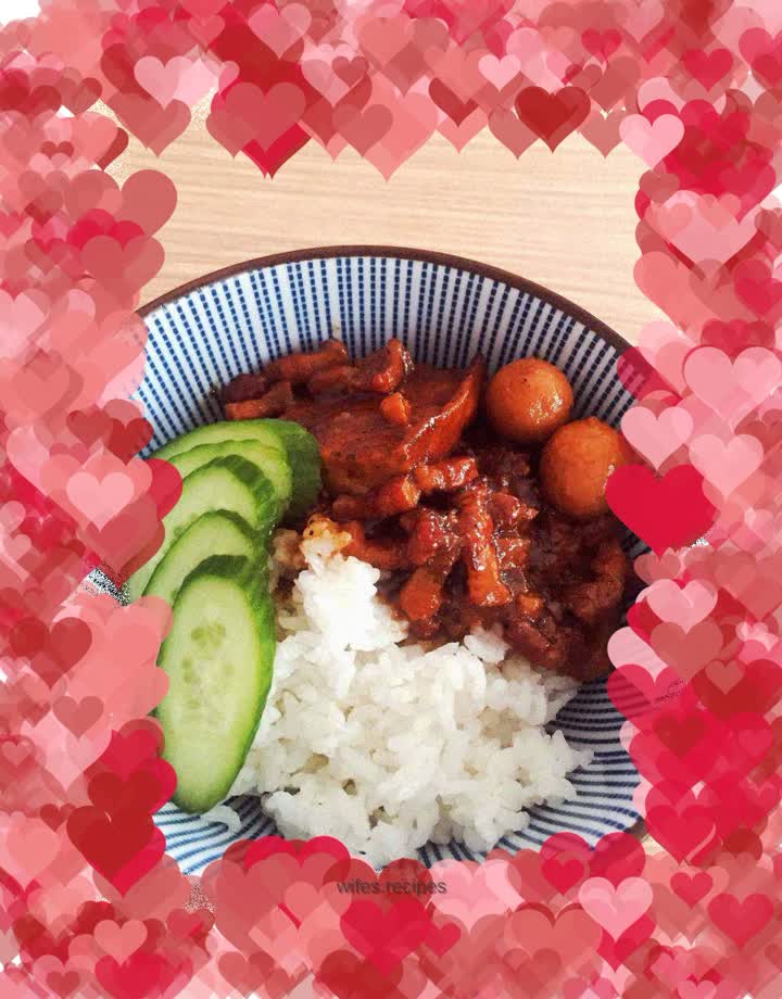 Taiwanese Braised Pork Rice